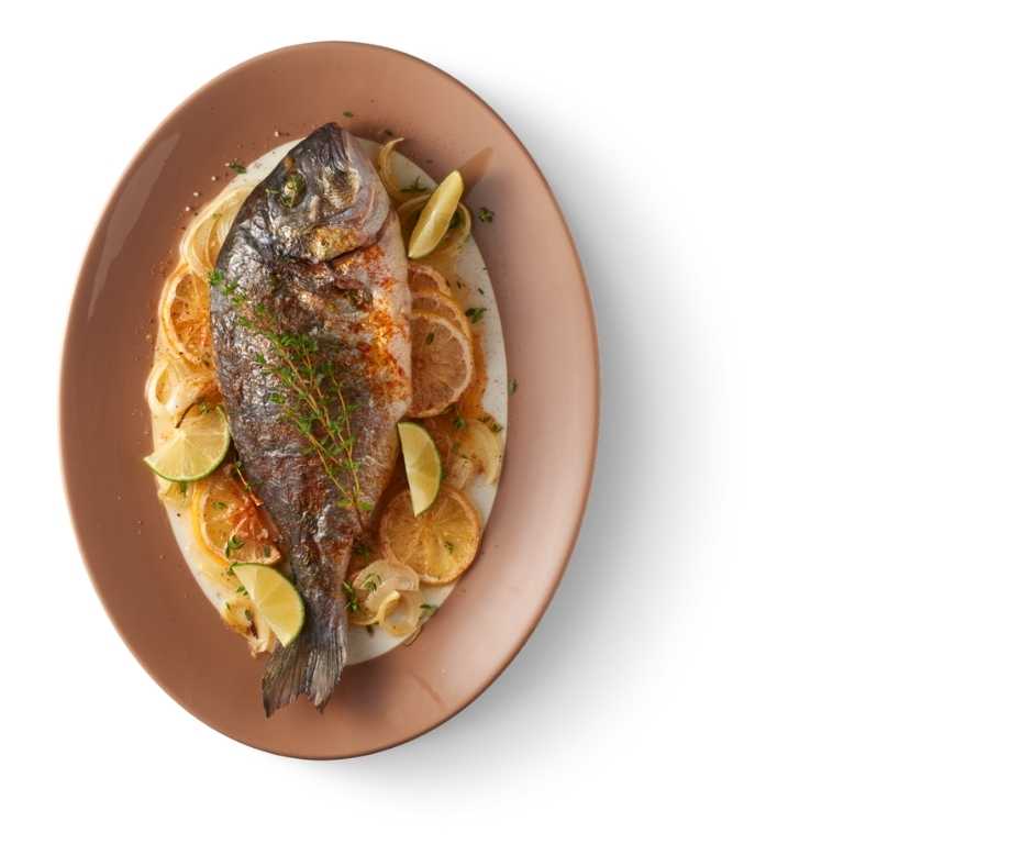 Fish dish with white background